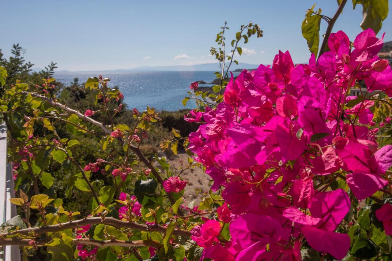 Sea View Villa 2 Skala  Exteriér fotografie